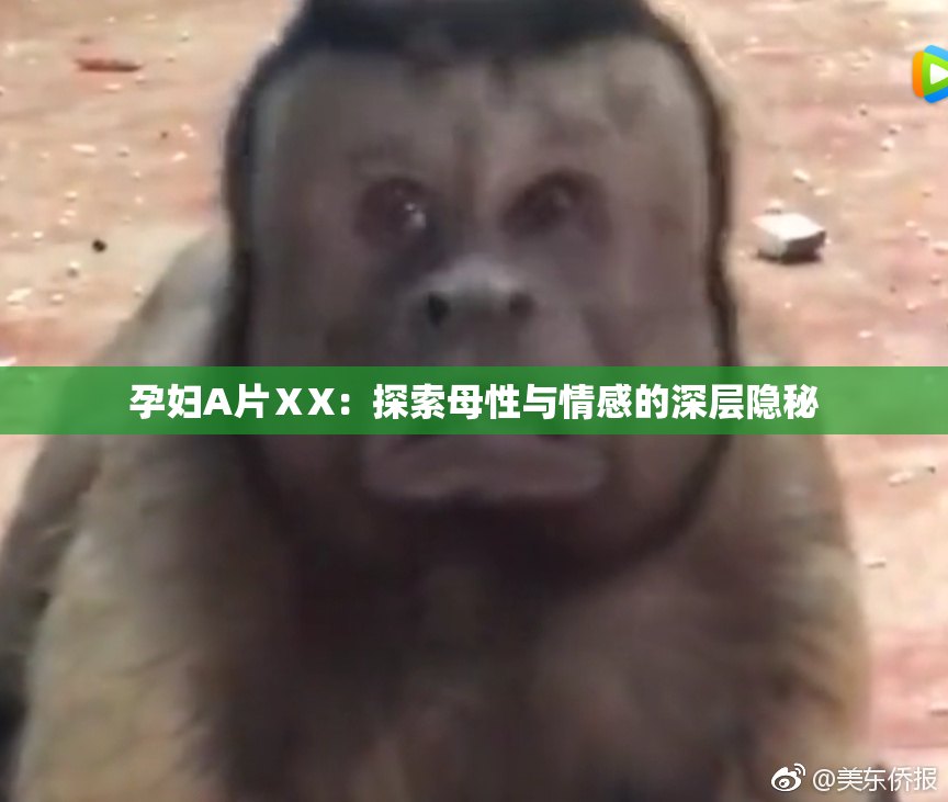 孕妇A片ⅩX：探索母性与情感的深层隐秘