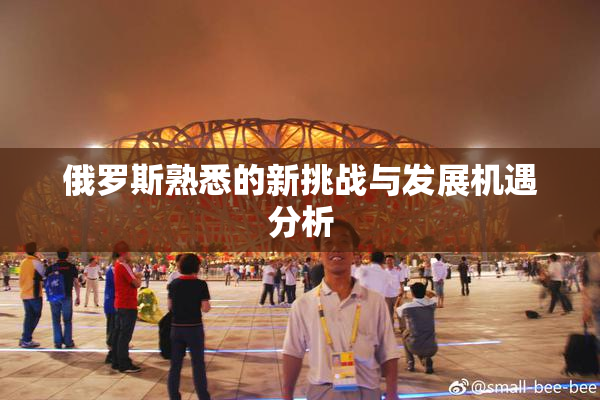 俄罗斯熟悉的新挑战与发展机遇分析