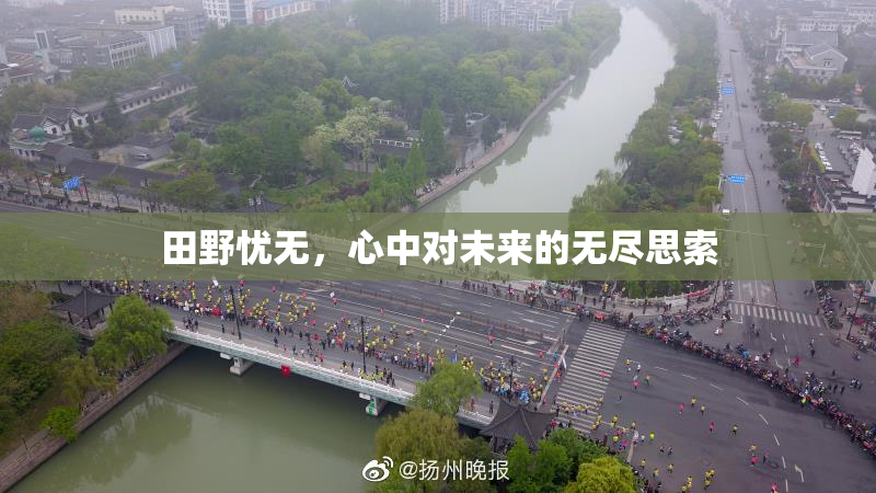 田野忧无，心中对未来的无尽思索
