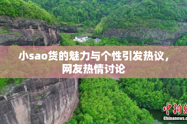 小sao货的魅力与个性引发热议，网友热情讨论