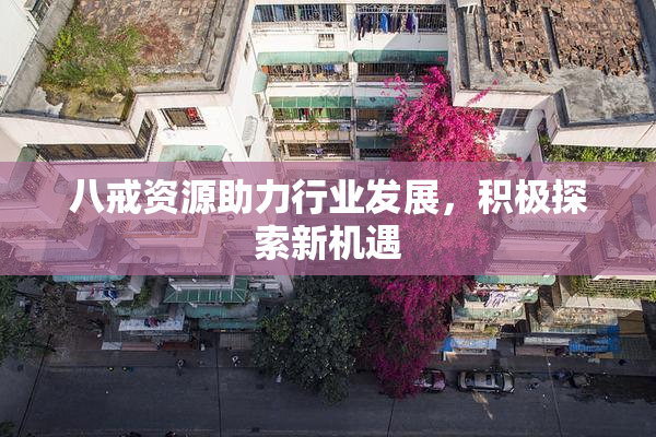 八戒资源助力行业发展，积极探索新机遇