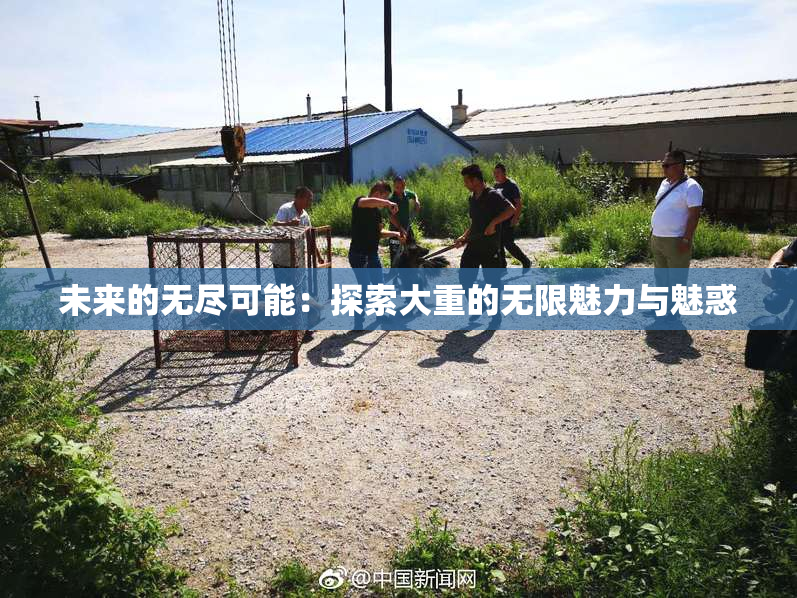 未来的无尽可能：探索大重的无限魅力与魅惑