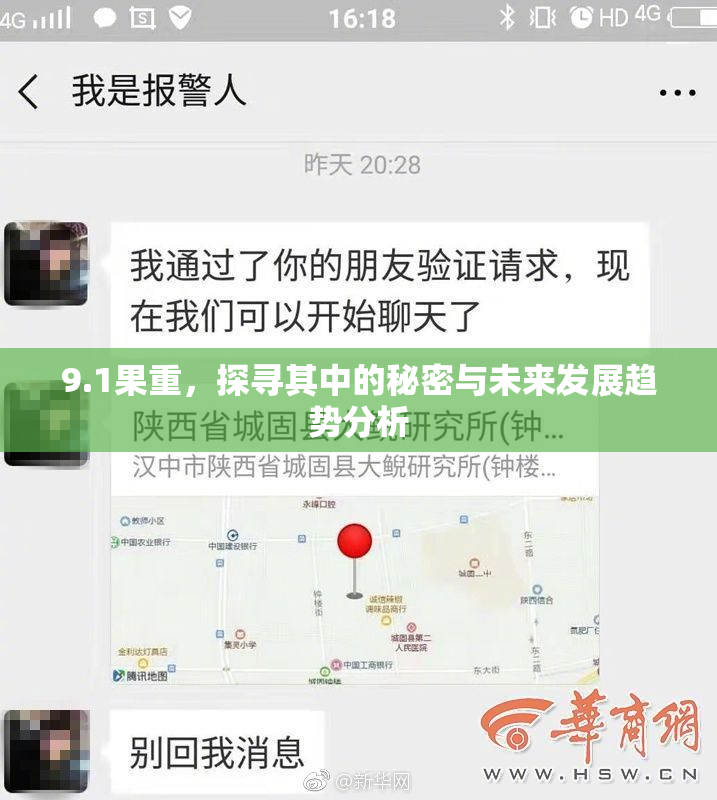 9.1果重，探寻其中的秘密与未来发展趋势分析