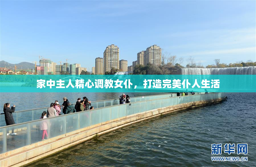 家中主人精心调教女仆，打造完美仆人生活