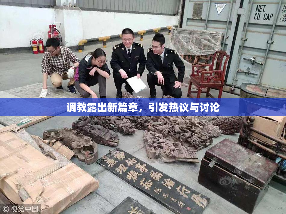 调教露出新篇章，引发热议与讨论
