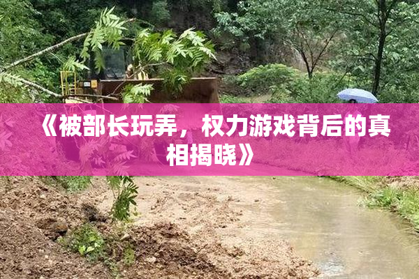 《被部长玩弄，权力游戏背后的真相揭晓》
