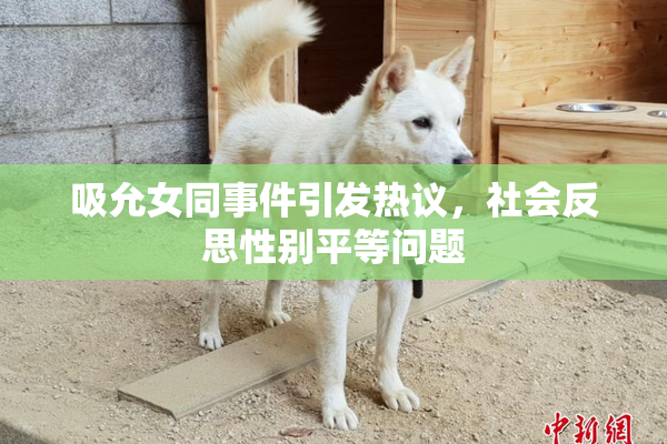 吸允女同事件引发热议，社会反思性别平等问题