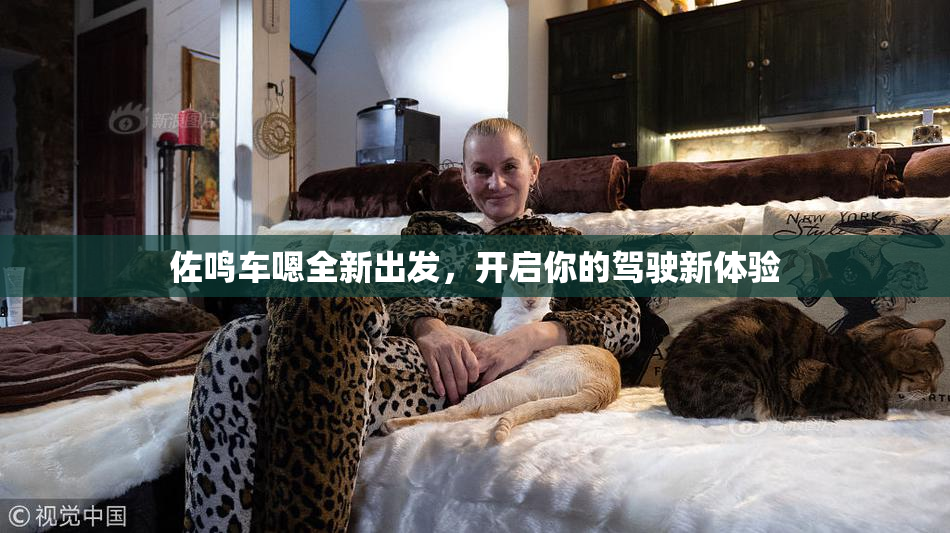 佐鸣车嗯全新出发，开启你的驾驶新体验