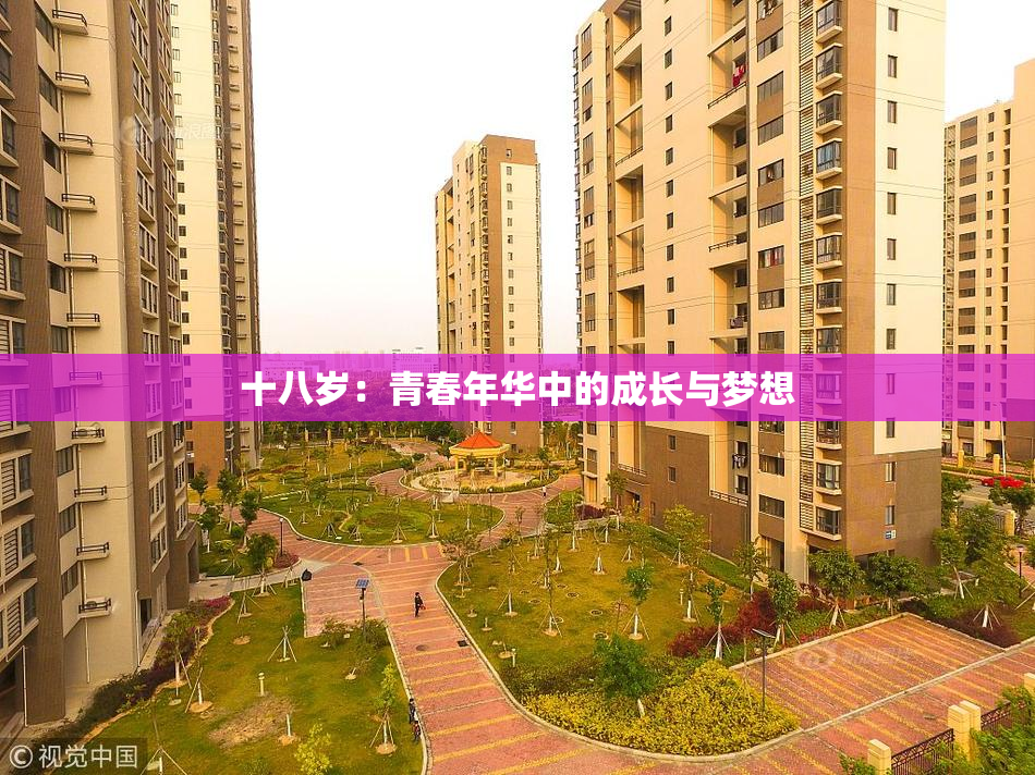 十八岁：青春年华中的成长与梦想