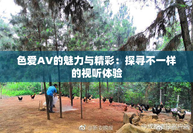 色爱AV的魅力与精彩：探寻不一样的视听体验