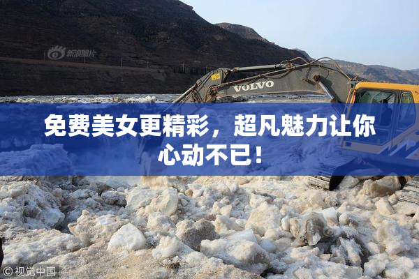 免费美女更精彩，超凡魅力让你心动不已！