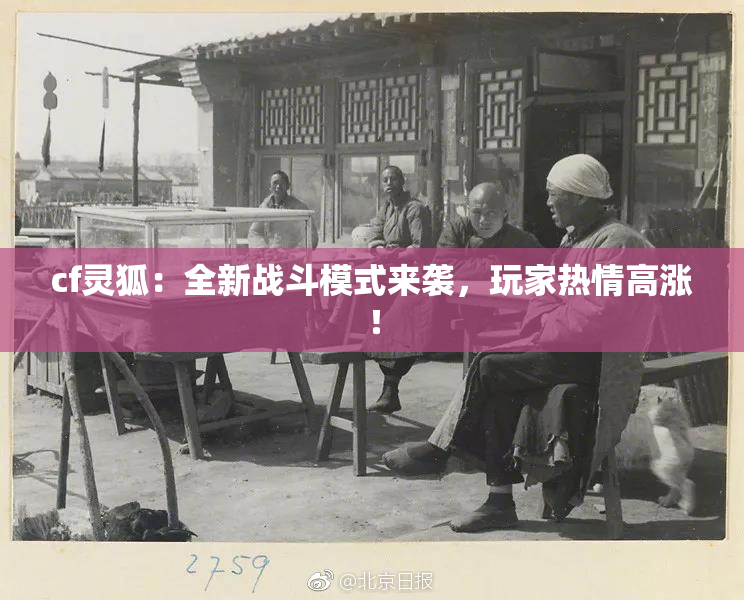 cf灵狐：全新战斗模式来袭，玩家热情高涨！