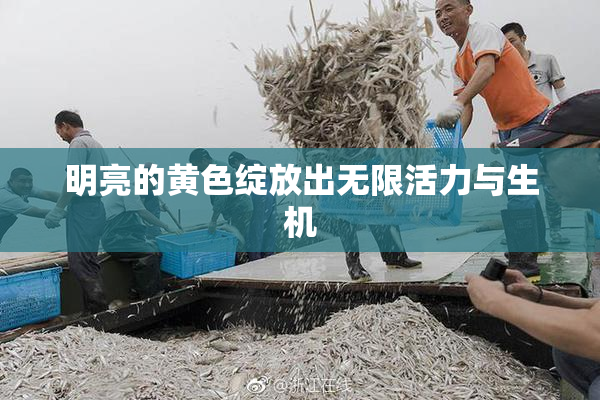明亮的黄色绽放出无限活力与生机