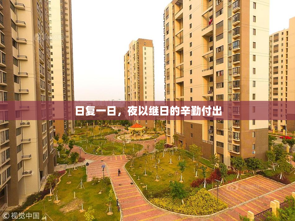 日复一日，夜以继日的辛勤付出