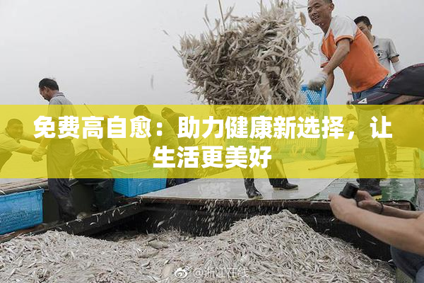 免费高自愈：助力健康新选择，让生活更美好