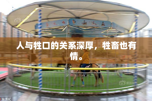 人与牲口的关系深厚，牲畜也有情。