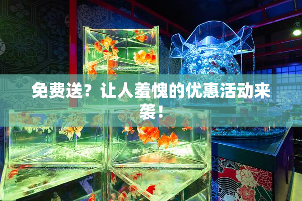 免费送？让人羞愧的优惠活动来袭！