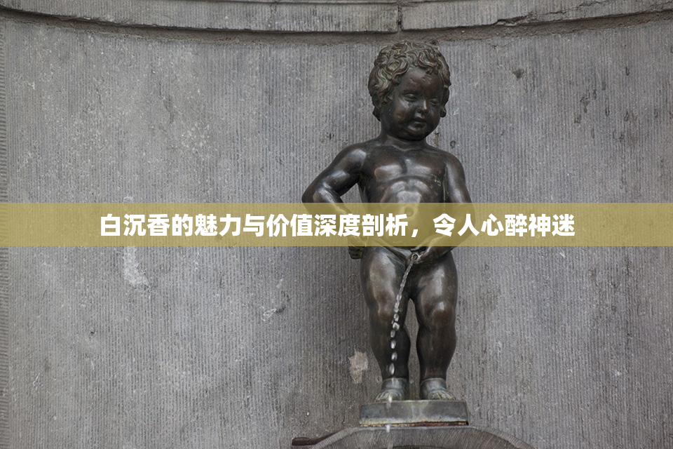 白沉香的魅力与价值深度剖析，令人心醉神迷