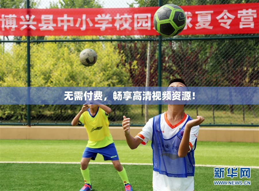 无需付费，畅享高清视频资源！