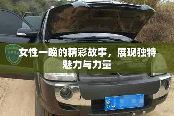 女性一晚的精彩故事，展现独特魅力与力量