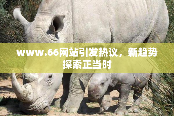www.66网站引发热议，新趋势探索正当时