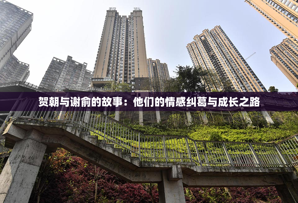 贺朝与谢俞的故事：他们的情感纠葛与成长之路