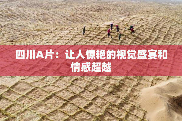 四川A片：让人惊艳的视觉盛宴和情感超越