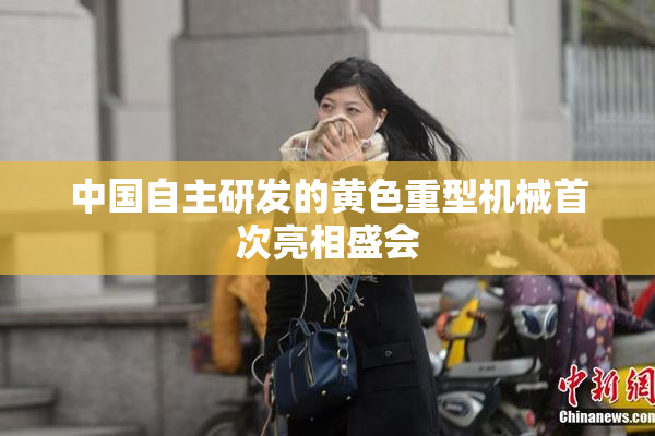 中国自主研发的黄色重型机械首次亮相盛会