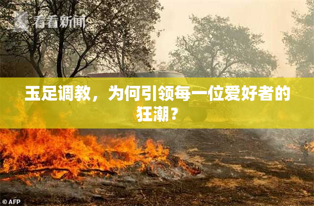 玉足调教，为何引领每一位爱好者的狂潮？