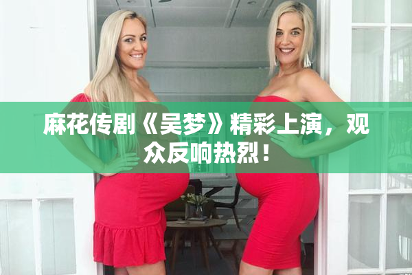 麻花传剧《吴梦》精彩上演，观众反响热烈！