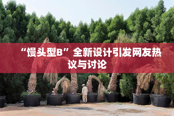 “馒头型B”全新设计引发网友热议与讨论