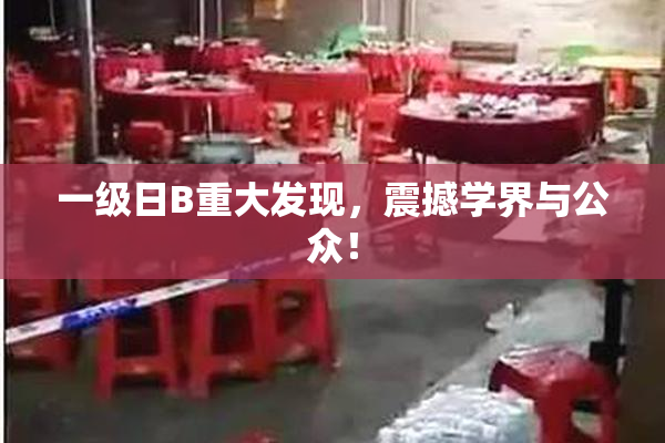 一级日B重大发现，震撼学界与公众！