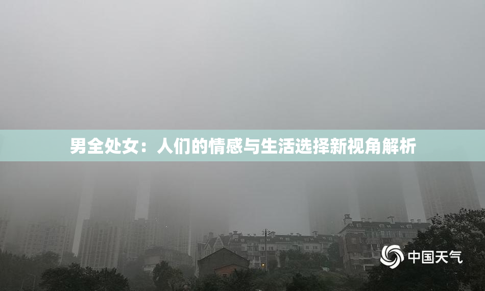 男全处女：人们的情感与生活选择新视角解析
