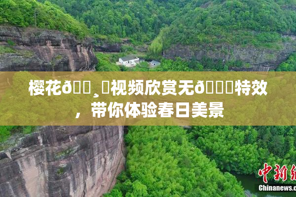 樱花🌸‌视频欣赏无🈚特效，带你体验春日美景