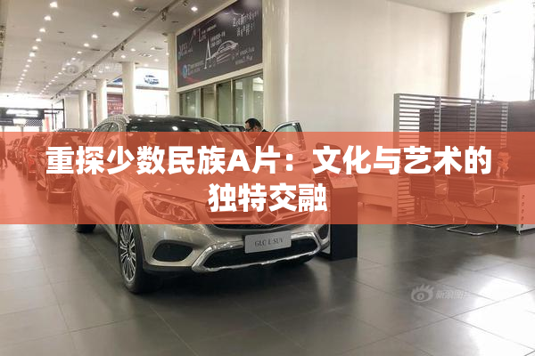 重探少数民族A片：文化与艺术的独特交融
