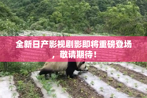 全新日产影视剧影即将重磅登场，敬请期待！