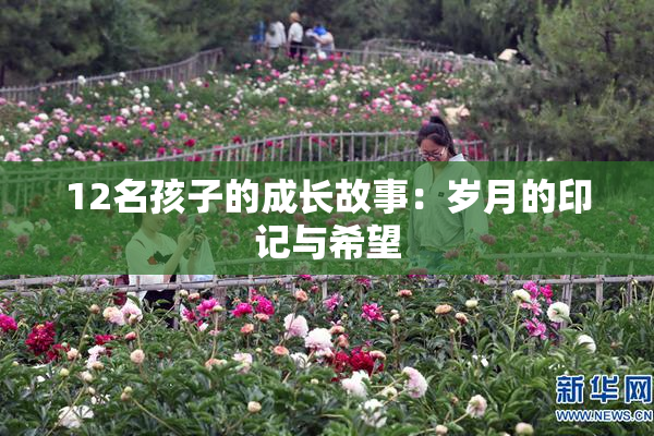 12名孩子的成长故事：岁月的印记与希望