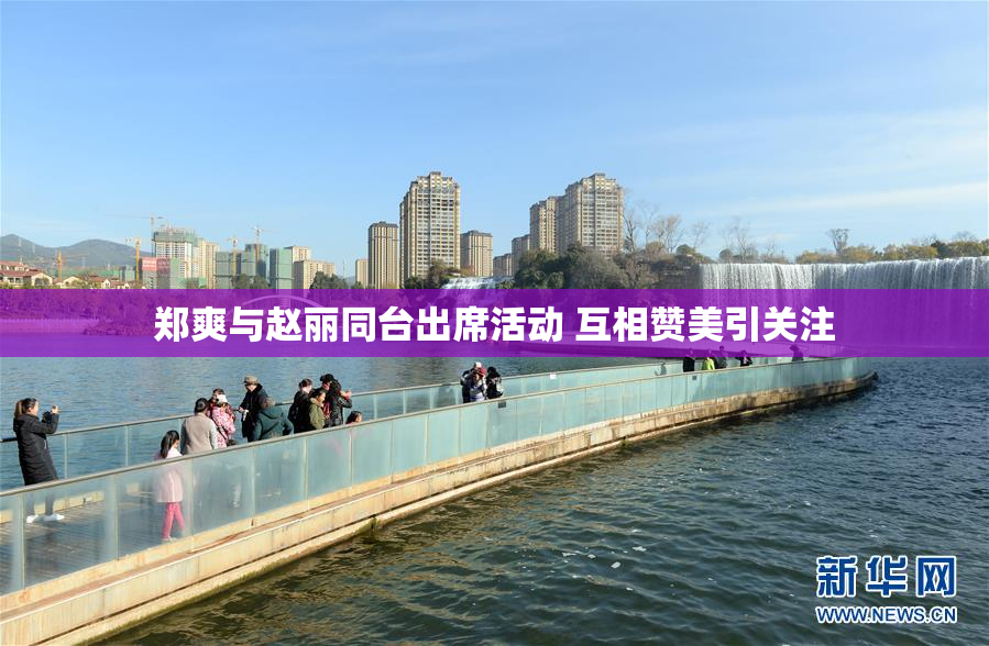 郑爽与赵丽同台出席活动 互相赞美引关注