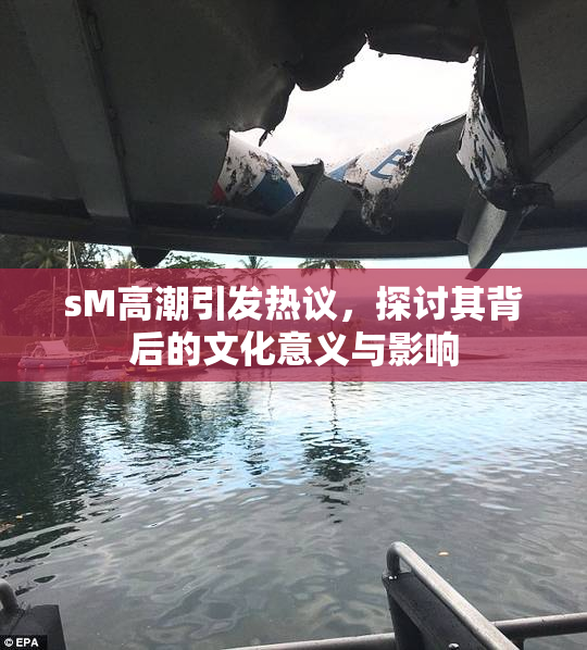 sM高潮引发热议，探讨其背后的文化意义与影响