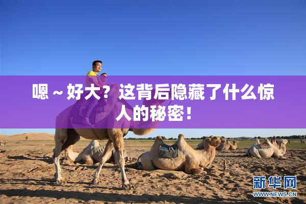 嗯～好大？这背后隐藏了什么惊人的秘密！
