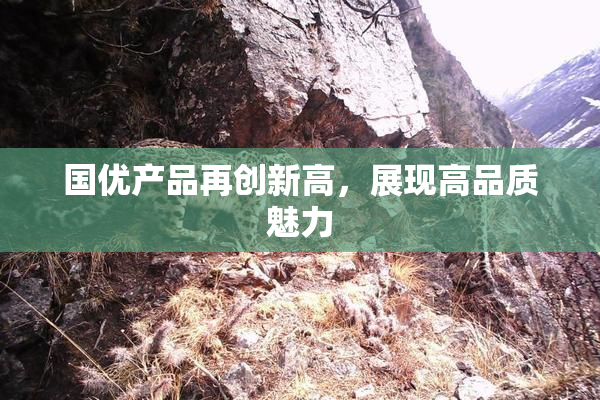 国优产品再创新高，展现高品质魅力
