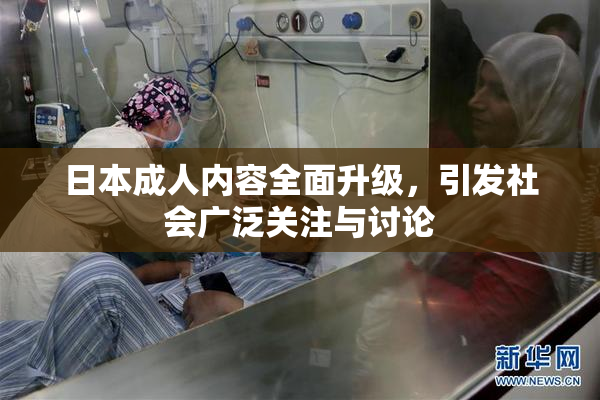 日本成人内容全面升级，引发社会广泛关注与讨论