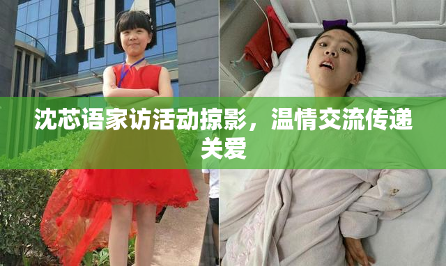 沈芯语家访活动掠影，温情交流传递关爱