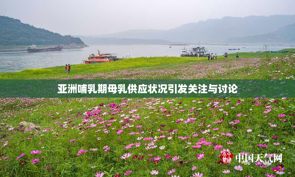 亚洲哺乳期母乳供应状况引发关注与讨论