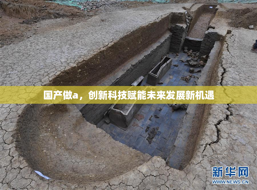 国产做a，创新科技赋能未来发展新机遇