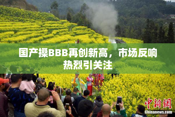 国产搡BBB再创新高，市场反响热烈引关注