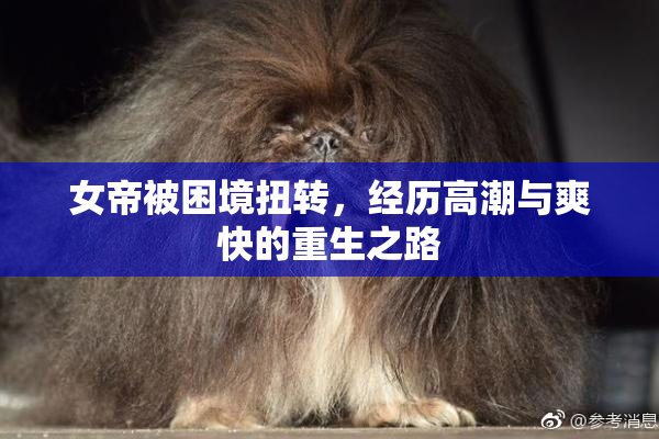 女帝被困境扭转，经历高潮与爽快的重生之路