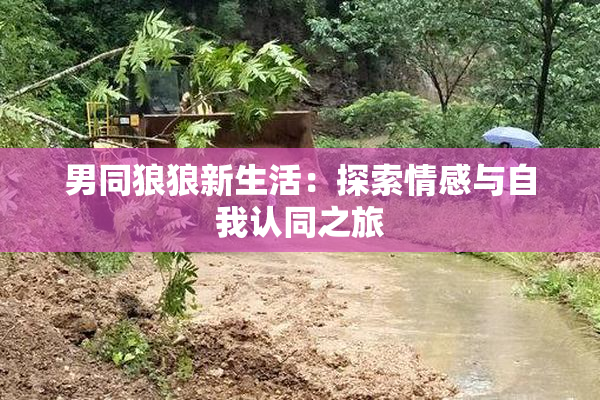 男同狼狼新生活：探索情感与自我认同之旅