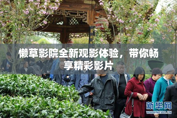 懒草影院全新观影体验，带你畅享精彩影片