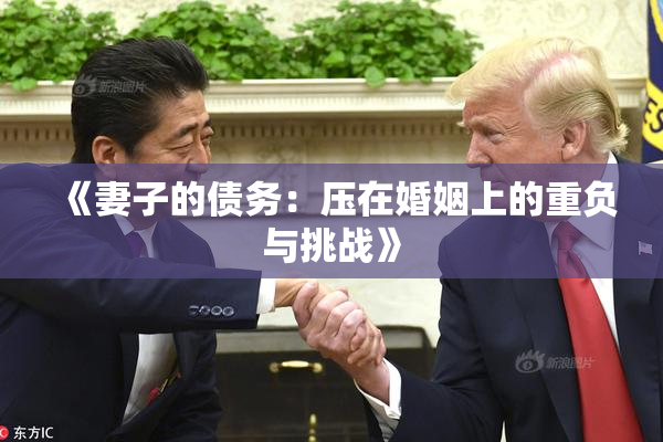 《妻子的债务：压在婚姻上的重负与挑战》